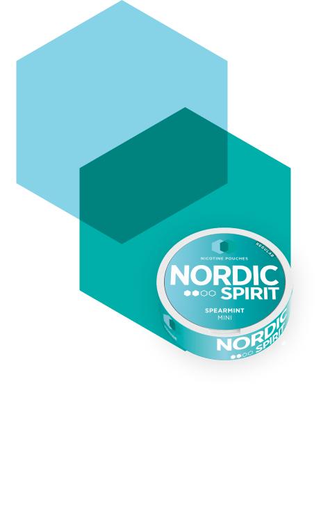 Can of Nordic Spirit Spearmint Mini Nicotine Pouches